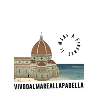 solodavivo Sticker by VIVO - dal mare alla padella