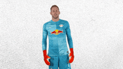 Weiter Lets Go GIF by RB Leipzig