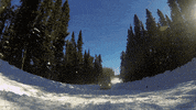 historyuk ice road truckers GIF