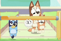 Pull Up Blue Heeler GIF