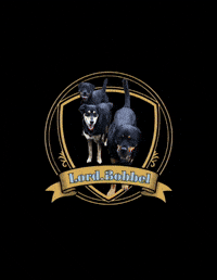 LordBobbel logo max maya lord GIF