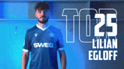 Soccer Goal GIF by Karlsruher SC