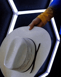 H2P Pitt Volleyball GIF by Pitt Panthers