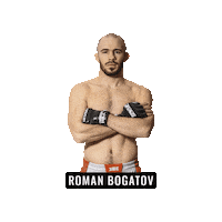 Mixed Martial Arts Mma Sticker by BRAVE Combat Federation