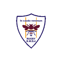 Bwest Sticker by Belgium Rugby