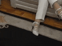 Wait Waiting GIF
