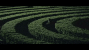 Confused Which Way GIF by Best Youth