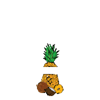 Pina Colada Sticker by Discover Puerto Rico