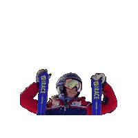 Alpine Salomon Sticker by fgssr