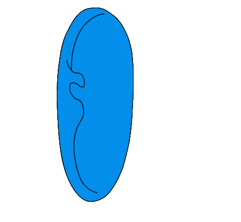 abixacipismoreira giphyupload animation cartoon hand Sticker
