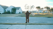 JohnnySlicks car hit truck beast GIF
