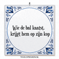Humor Nl GIF by Tegelspreuken.nl