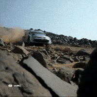 Coming On My Way GIF by FIA World Rally Championship