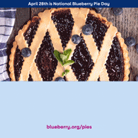 BlueberryCouncil giphyupload blueberry blueberry pie gabob GIF
