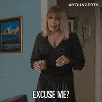 Tv Land Pardon GIF by YoungerTV