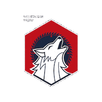 foerch forch foerch förch werkzeugwolf Sticker