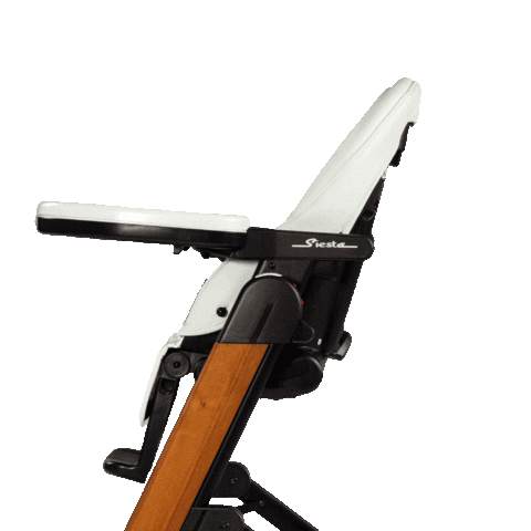 Baby Sleeping Sticker by Peg Perego