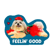 Happy Feeling Good Sticker by Awesome Pawsome Treats