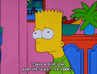 bart simpson episode 10 GIF