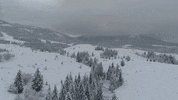 Christmas Snow GIF by ActionVFX