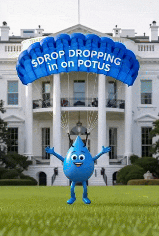 Memecoin Xrp GIF by $DROP