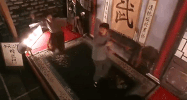 kung fu GIF