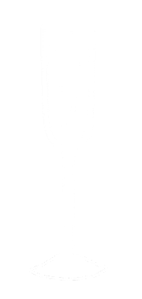 Cheers Champagne Sticker by Pretty Whiskey / Alex Sautter