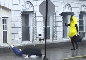 Irony GIF