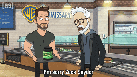 Im Sorry Zack Snyder GIF by Adult Swim