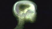 Music Video Vintage GIF