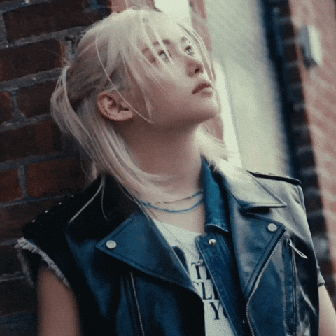 Stray Kids Skz GIF