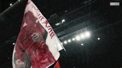 mohamed salah fans GIF by Liverpool FC