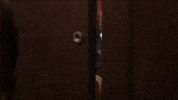 Kiara GIF by T-Series