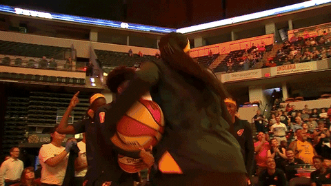 basketball sport GIF by Indiana Fever