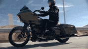 Brand Adventure GIF by Harley-Davidson