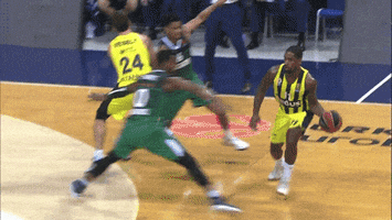 vesely dunk GIF by EuroLeague