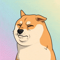 Judging Shiba Inu GIF by Doge Pound