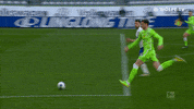 Wout Weghorst Football GIF by VfL Wolfsburg