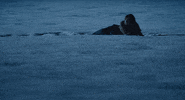The Lodge Horror GIF by NEON