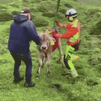 Inertmen GIF