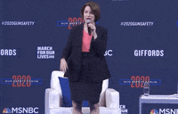 Amy Klobuchar Gun Control GIF