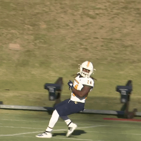 Football Celebration GIF by Chattanooga Mocs