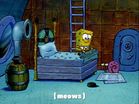 season 1 episode 3 GIF by SpongeBob SquarePants