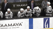 GIF by Ontario Reign