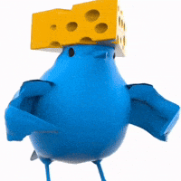 Bird Cheese GIF