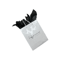 Hebe Sticker by hebebeautybar