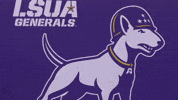 Soccer Generals GIF by LSUA Athletics