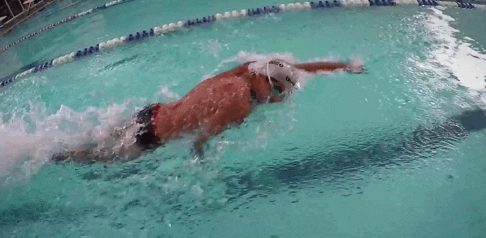 skillsnt giphyupload GIF