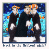 Nostalgia Goldfish GIF by NACHTSCHIMMEN Music-Theatre-Language NIGHTSHADES