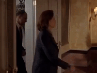 season 5 netflix GIF by Gilmore Girls 